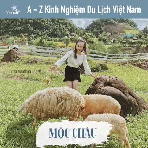 Review Mộc Châu 2N1Đ của bạn Thanh Nga Tran và bạn Vu Lan Huong