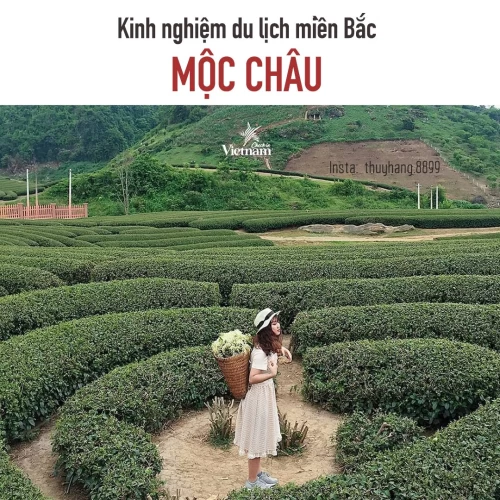 Review Mộc Châu chi tiết 2N1Đ của bạn Bùi Ngọc Hương