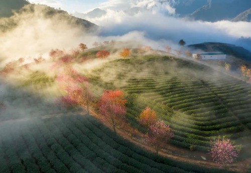 Bật mí chi phí du lịch Sapa