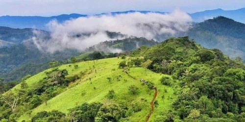 Tour trekking là gì, những địa điểm trekking đẹp đáng để trải nghiệm ở Việt Nam