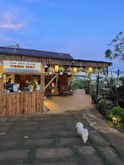 Khu Vườn Trên Mây Coffee & Healing – Chốn dừng chân giữa lưng chừng trời Đà Lạt