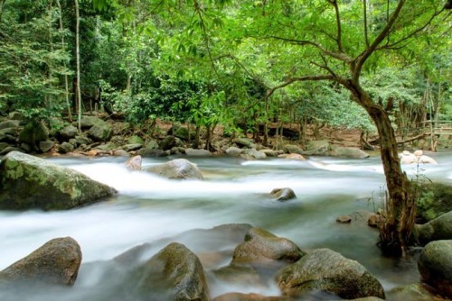 Thác Bà - Khung cảnh hoang sơ đến kỳ lạ.