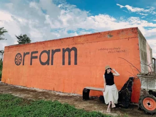 Vườn cam ORFARM Măng Đen – Hành trình khám phá trang trại xanh giữa lòng đại ngàn