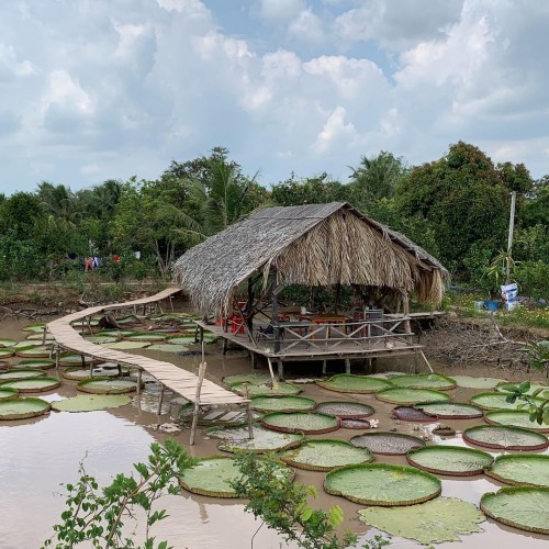 Khám phá điểm du lịch Cồn Sơn – Làng du lịch cộng đồng độc đáo ở Cần Thơ