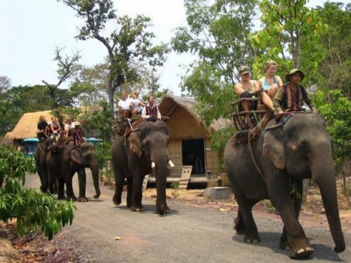 Khu du lịch Buôn Đôn- Nơi chứa đựng vẻ đẹp mộc mạc, diệu kỳ của núi rừng bạt ngàn Đắk Lắk.