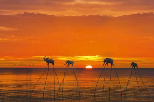 Sunset Sanato Beach Club – Không gian check-in hoàng hôn “triệu like” Phú Quốc