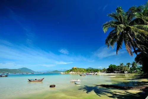 Bãi biển Sơn Đừng – Viên ngọc thô hoang sơ giữa lòng biển Khánh Hòa