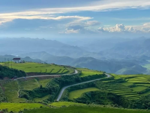 Đồi Sim – Săn mây Suối Bon: Hành trình chinh phục vẻ đẹp hoang sơ của núi rừng Sơn La