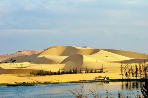 Đồi cát Hòa Thắng – Thiên đường cát vàng rực rỡ giữa nắng gió Phan Thiết