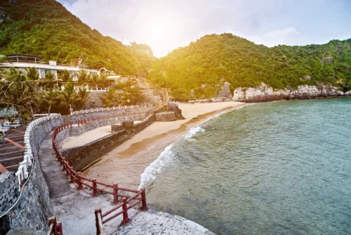 Biển Cát Cò – Nét quyến rũ hoang sơ giữa lòng đảo ngọc Cát Bà