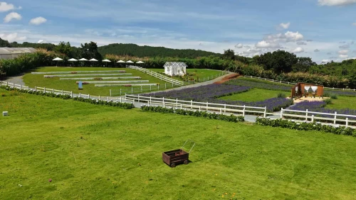 Thung Mơ Garden – Vườn trời mơ mộng giữa sườn đồi Tà Nung