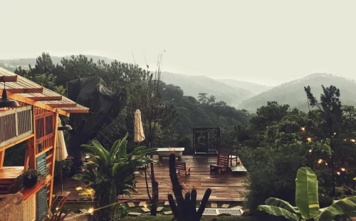 Gâu Garden – Xứ Sở “Sống Ảo” Cho Hội Yêu Cún Giữa Lưng Chừng Đồi
