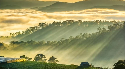 Đồi Măng Lin – Nơi dừng chân lý tưởng giữa thiên nhiên Đà Lạt
