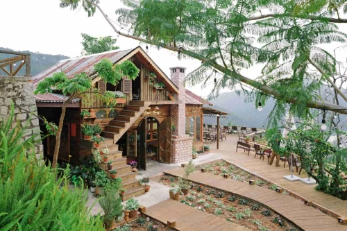 Tiệm cafe Thênh Thang – Nơi lắng đọng những khoảnh khắc an yên giữa lòng Đà Lạt