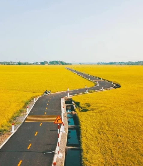 Cánh đồng An Nhứt – Vẻ đẹp thanh bình giữa lòng đất biển Vũng Tàu