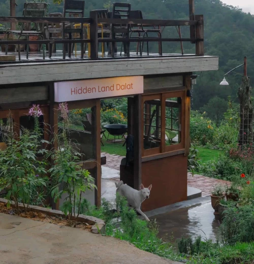 Hidden Land – Khu vườn bí ẩn giữa lòng Đà Lạt mộng mơ
