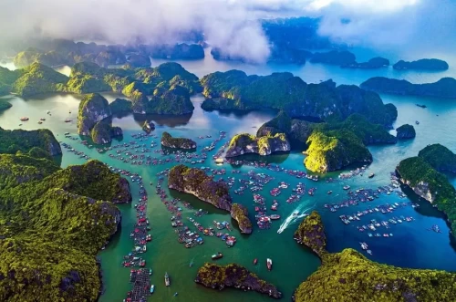 Làng chài Cái Bèo – Vẻ đẹp bình yên giữa lòng vịnh biển
