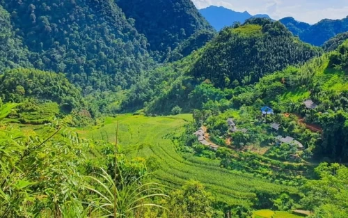 Khu Bảo Tồn Thiên Nhiên Pù Luông – Vẻ đẹp hoang sơ giữa đại ngàn xứ Thanh