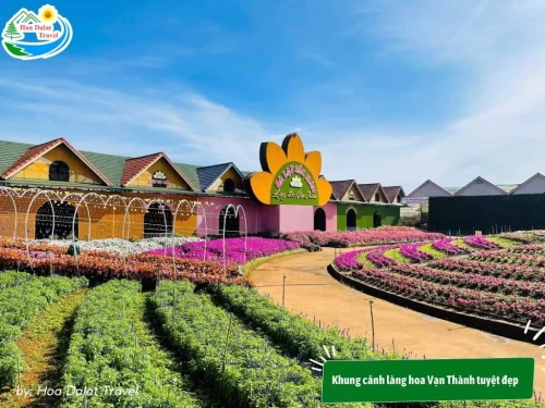 Làng hoa Vạn Thành – Bức tranh rực rỡ giữa lòng Đà Lạt