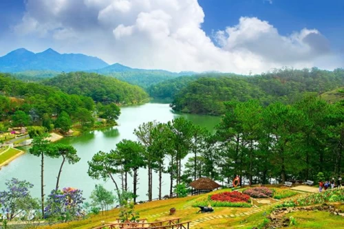 Thung Lũng Vàng Đà Lạt – Bức tranh thiên nhiên giữa lòng phố núi