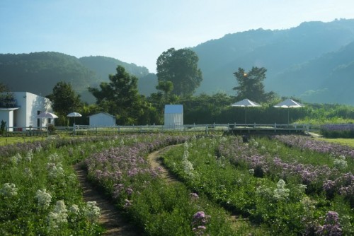 Hoa May Garden - Quán cafe view cực xịn ở Đà Lạt