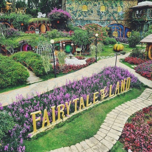 Dalat Fairytale Land - Hầm rượu vang Vĩnh Tiến ít ai biết