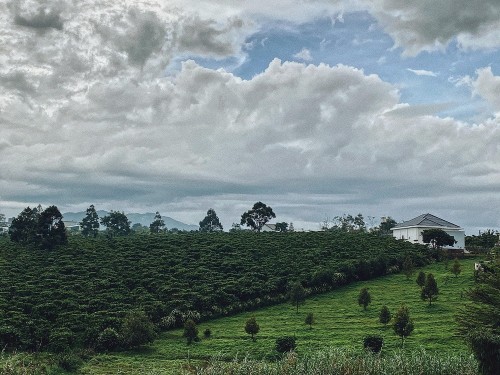 Vintage Garden’s Farmstay - Chìm đắm vào không gian thiên nhiên tươi đẹp