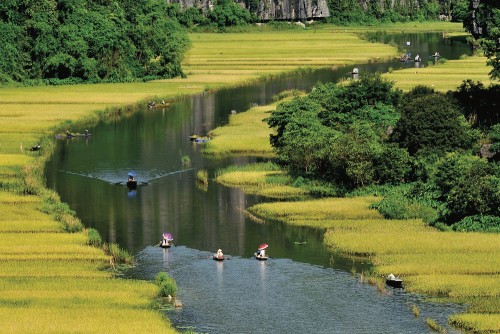 Bãi Ngang – Vùng đất phù sa màu mỡ