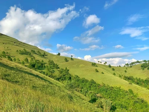 Đỉnh Phượng Hoàng - Không gian thơ mộng cực gần Hạ Long