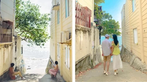 Hẻm 444 Trần Phú – Góc sống ảo “triệu like” giữa lòng Vũng Tàu