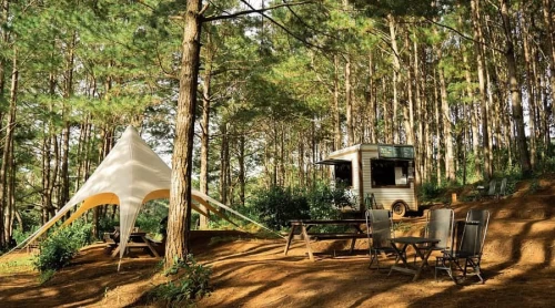 Reo Campsite – BBQ: Thiên đường dã ngoại, thưởng ngoạn giữa rừng thông Đà Lạt