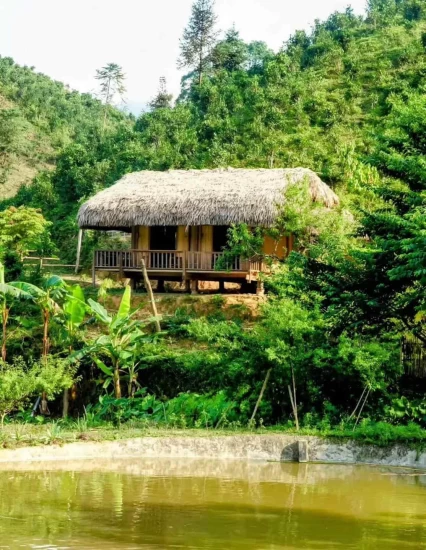 Bản Liền – Nơi Chạm Vào Hồn Tây Bắc Giữa Mây Trời Lào Cai