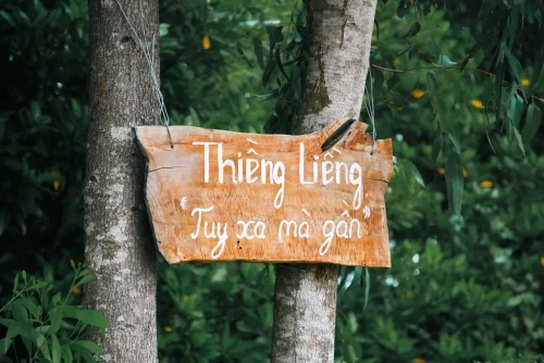 Thiềng Liềng – Vẻ Đẹp Mộc Mạc Giữa Lòng Biển Rừng Cần Giờ