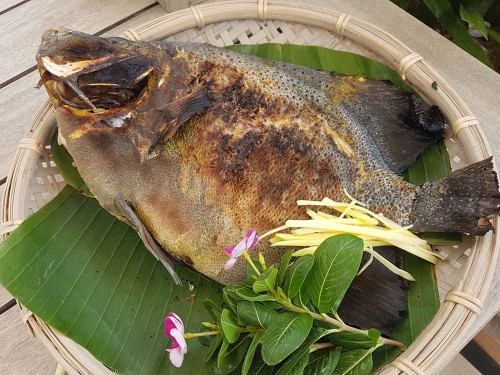 Cá nanh heo - Hương vị thịt thơm ngon và có hàm lượng dinh dưỡng cao