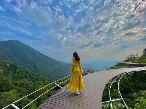 Cầu Mây Tam Đảo – “Góc Sống Ảo Triệu View” Giữa Lưng Chừng Mây Trời