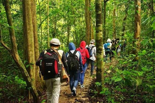 Trekking xuyên rừng - hoạt động thú vị ở Cát Tiên