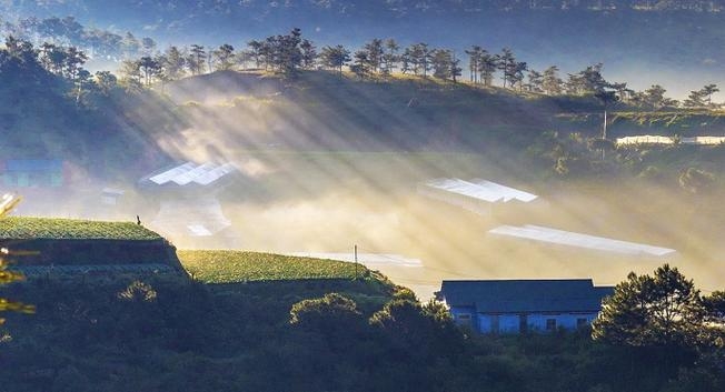 Làn sương mỏng dần tan dưới ánh mặt trời càng làm cho khung cảnh thêm phần huyển ảo