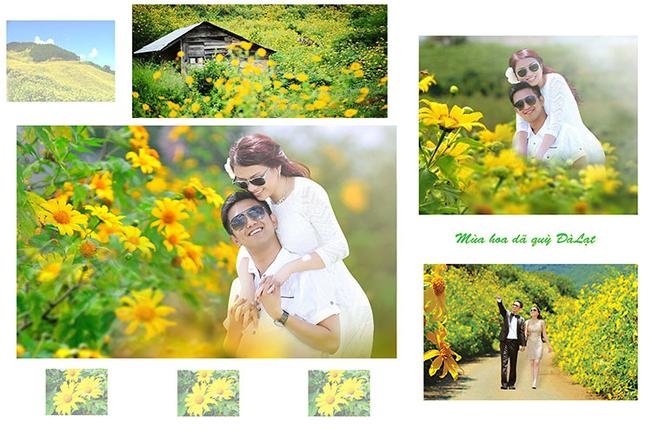 Chụp ảnh cưới mùa hoa dã quỳ Đà Lạt hấp dẫn nhiều du khách