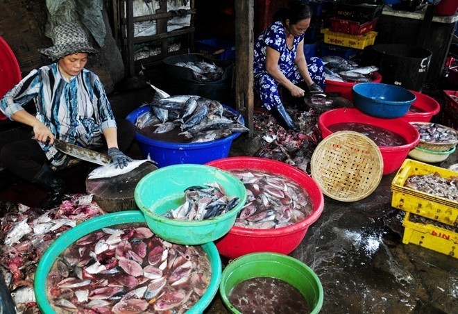 Tìm hiểu về làng nhề cá hấp tại Quy Nhơn