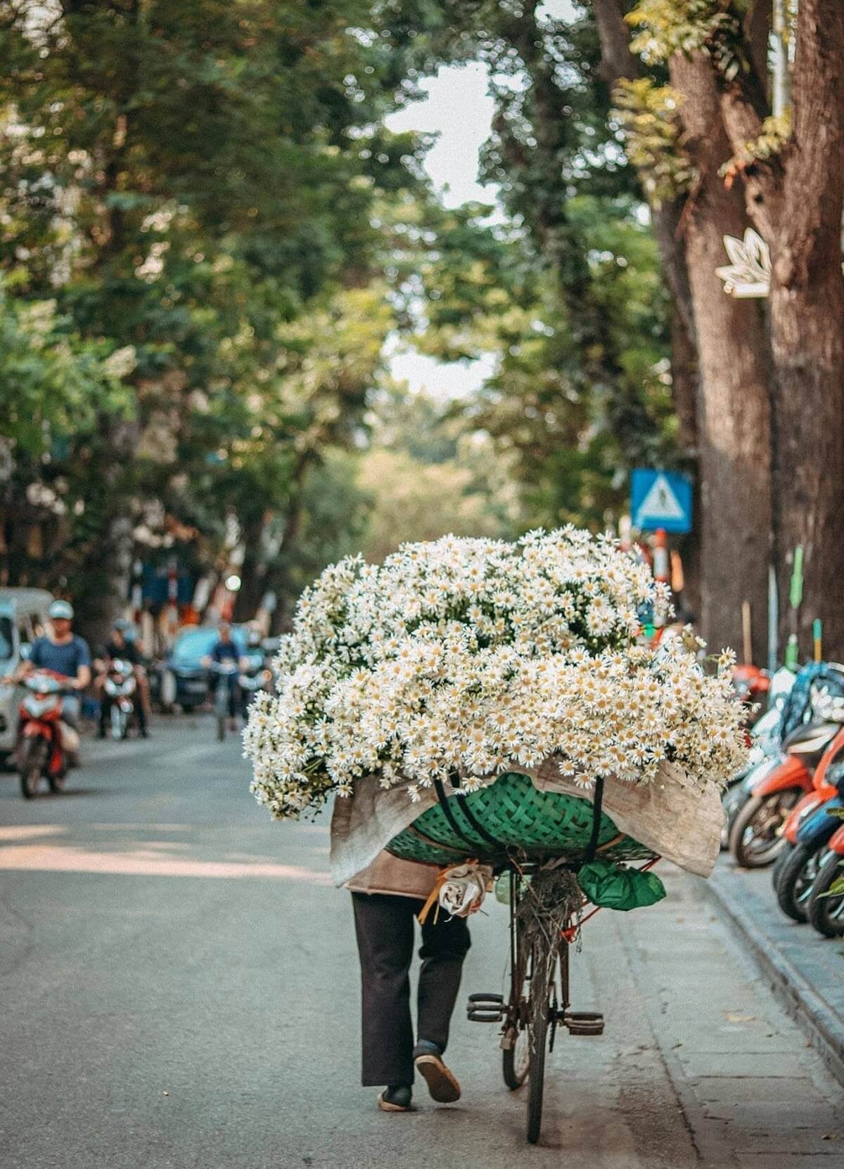 Northern Vietnam