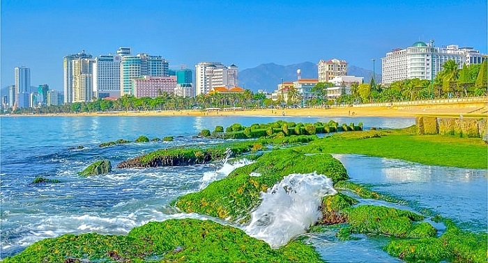 bãi rêu Nha Trang