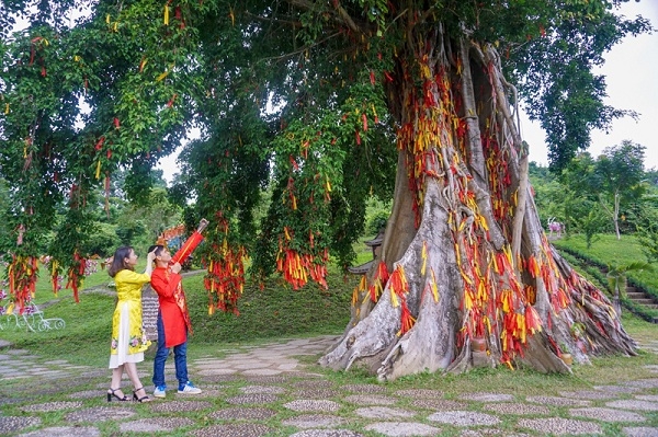 Du Lịch Thác Yang Bay - Ảnh minh hoạ 2