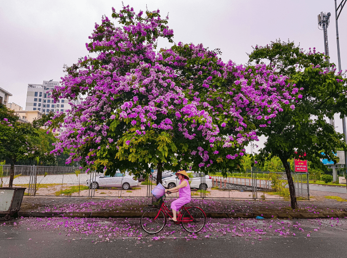 Du lịch Hà Nội tháng 5