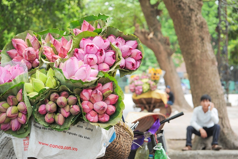 Du lịch Hà Nội tháng 6