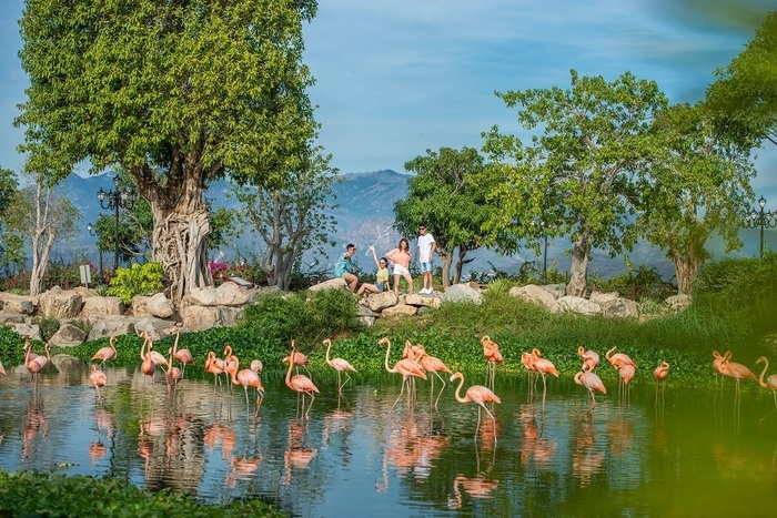 du lịch Nha Trang tự túc