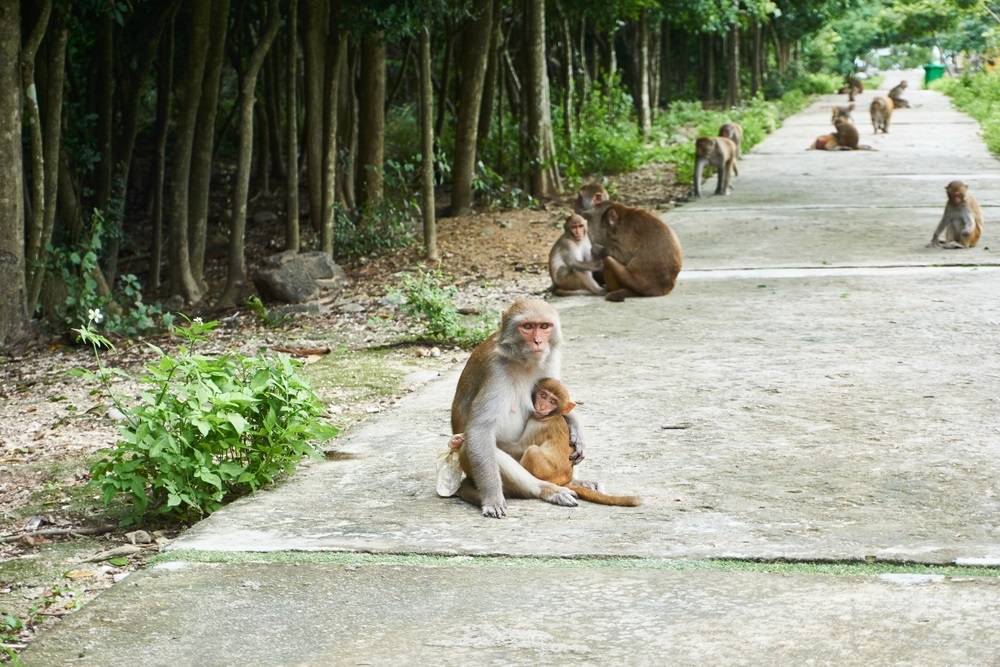 du lịch Nha Trang 3 ngày 2 đêm