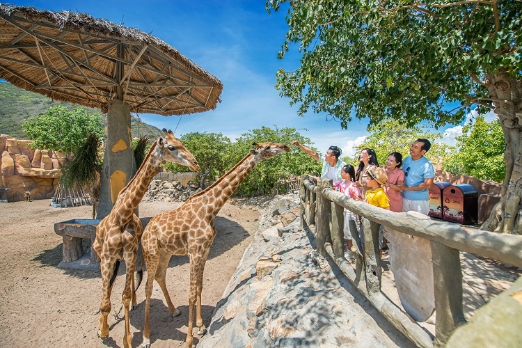 du lịch Nha Trang 3 ngày 2 đêm