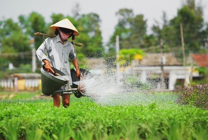 du lịch Quảng Nam