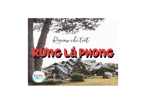 Du Lịch Rừng Lá Phong Tại Đà Lạt