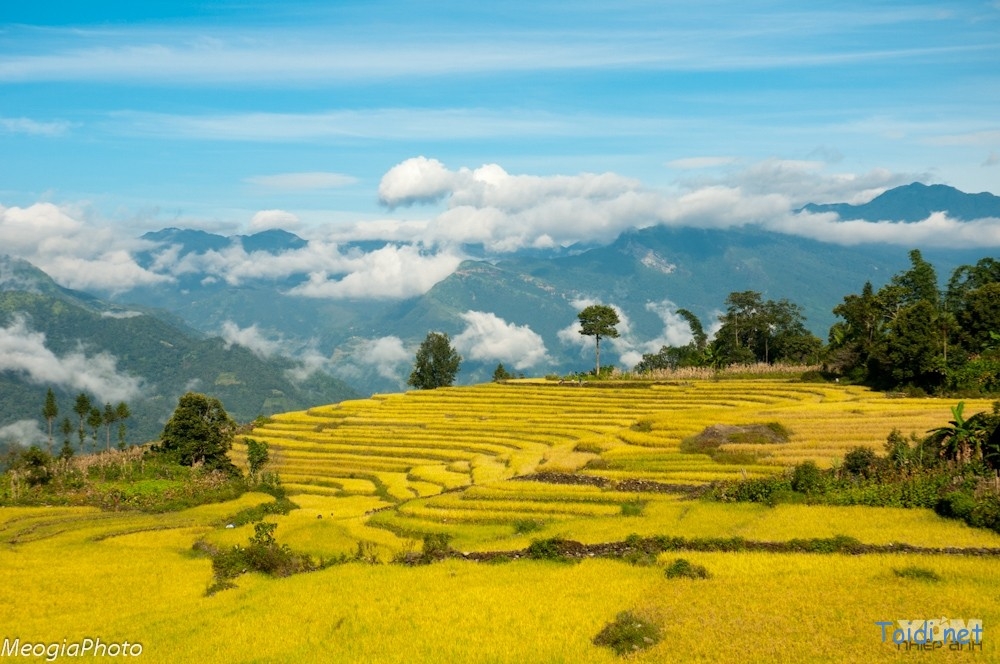 du lịch Y Tý